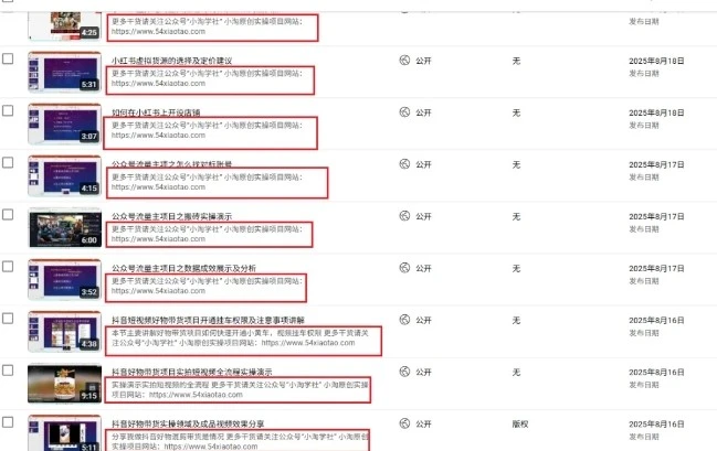 2025油管引流术,分享我是如何通过油管做引流的-创业猫 2025油管引流术,分享我是如何通过油管做引流的