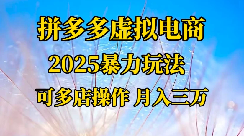 拼多多虚拟电商，一对一陪跑 月入三万，适合人群 上班族 宝妈 大学生-创业猫