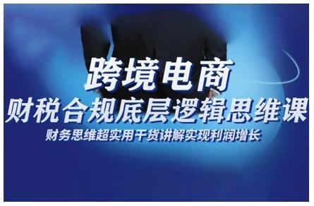 【精】跨境电商财稅合规底层逻辑思维课,财务思维超实用于货讲解实现利润增长 【精】跨境电商财稅合规底层逻辑思维课,财务思维超实用于货讲解实现利润增长